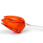 Glazen tulp Oranje