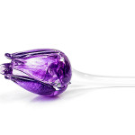 Glass tulip Purple