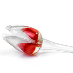 Glass tulip Red White
